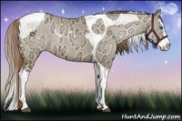 Horse Color:Liver Red Dun Ice Pearl Splash Tobiano