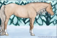 Horse Color:Silver Bay Roan Pearl