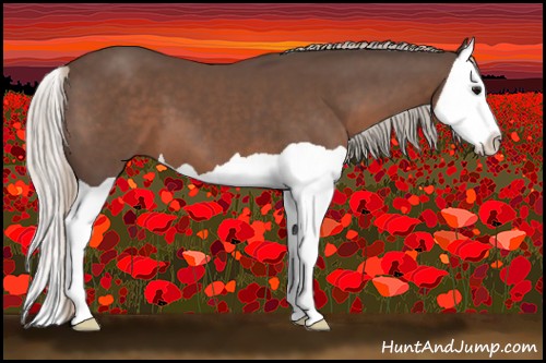 Horse Color:Silver Black Splash