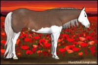 Horse Color:Silver Black Splash 