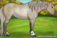Horse Color:Silver Grullo Sabino