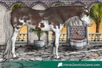 Horse Color:White Spotted Silver Brown 
