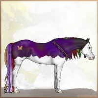 Horse Color:Painted Brown Splash 