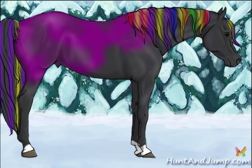 Horse Color:Painted Black 