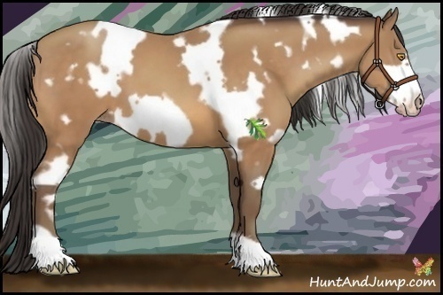 Horse Color:White Spotted Sable Champagne Frame 