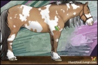 Horse Color:White Spotted Sable Champagne Frame