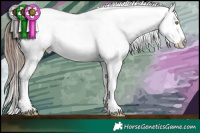 Horse Color:White Spotted Sable Champagne Appaloosa 