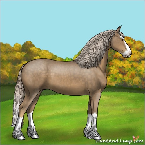 Horse Color:Chocolate Palomino Splash 