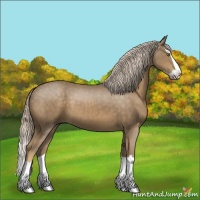 Horse Color:Chocolate Palomino Splash 