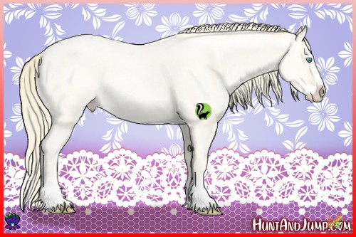 Horse Color:Buckskin Roan Pearl Splash 