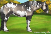 Horse Color:White Spotted Blue Onyx 