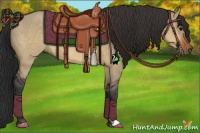 Horse Color:Brown Dun 