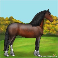 Horse Color:Brown 