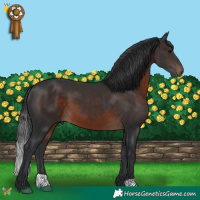 Horse Color:Brown 
