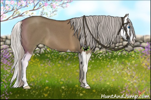 Horse Color:Silver Brown Roan Dun Splash