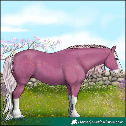 Horse Color:Watercolor Silver Black Splash 