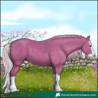 Horse Color:Watercolor Silver Black Splash