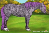 Horse Color:Watercolor Red Dun Ice 