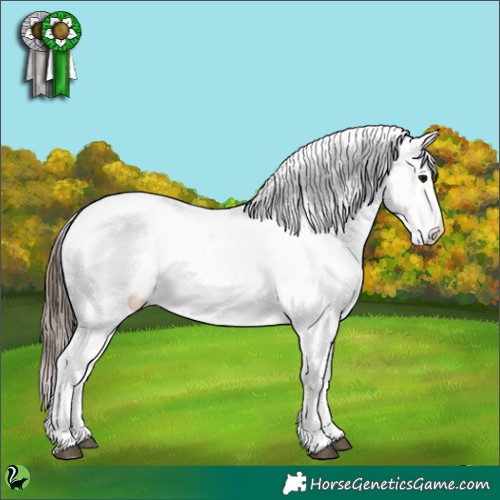 Horse Color:Grullo Snowcap 