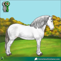 Horse Color:Grullo Snowcap 
