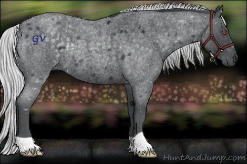 Horse Color:Silver Blue Chinchilla Roan Rabicano 
