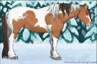 Horse Color:Bay Sabino Tobiano Varnish 
