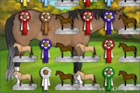 Horse Color:Brown Dun Brindle