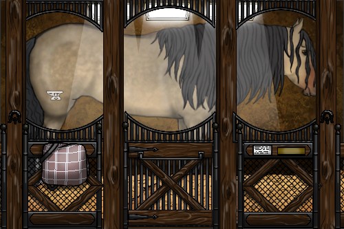 Horse Color:Brown Dun 