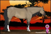Horse Color:Brown Dun 