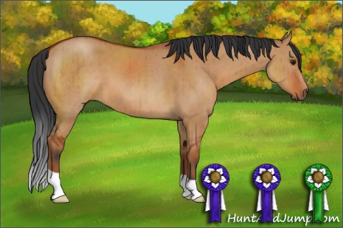 Horse Color:Brown Dun Brindle