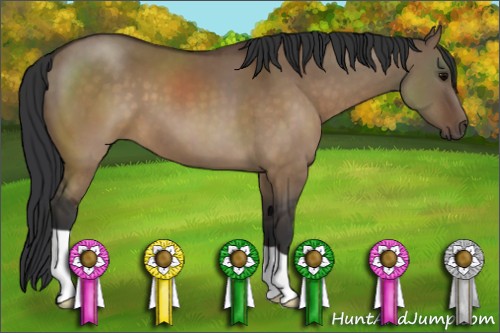 Horse Color:Brown Dun 