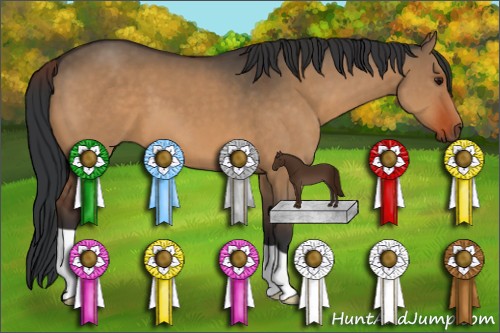 Horse Color:Brown Dun