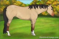 Horse Color:Brown Dun 