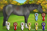 Horse Color:Grullo 