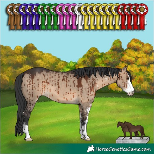 Horse Color:Brown Dun Sabino Brindle