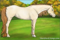 Horse Color:Sable Cream Champagne Roan Pearl