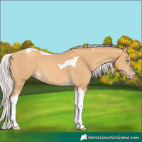 Horse Color:Silver Sable Cream Champagne Tobiano 
