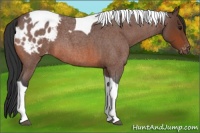 Horse Color:Bay Roan Tobiano Blanket 