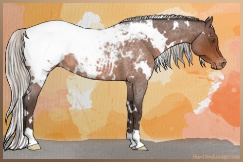 Horse Color:White Spotted Silver Brown Roan Snowcap