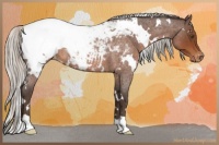 Horse Color:White Spotted Silver Brown Roan Snowcap 