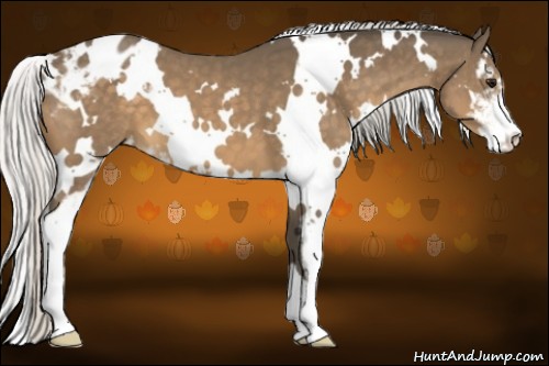 Horse Color:White Spotted Silver Buckskin Sabino Varnish 