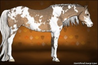 Horse Color:White Spotted Silver Buckskin Sabino Varnish