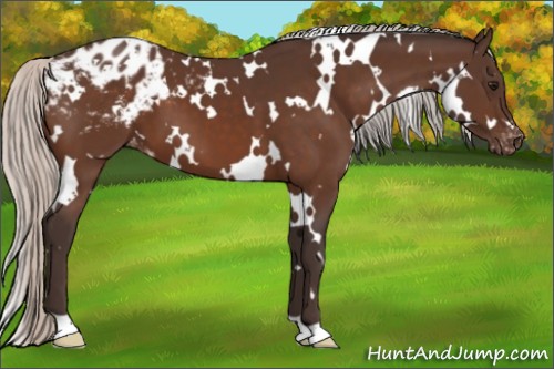 Horse Color:White Spotted Silver Brown Varnish 