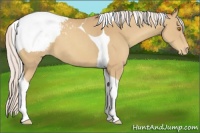Horse Color:Silver Classic Champagne Tobiano Appaloosa