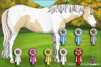 Horse Color:Silver Classic Champagne Dun Sabino Tobiano Appaloosa
