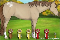 Horse Color:Classic Cream Champagne Varnish 
