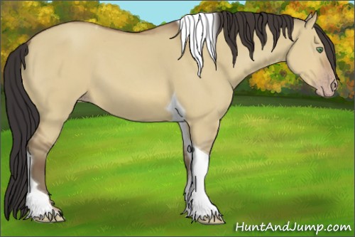 Horse Color:Sable Champagne Dun Tobiano