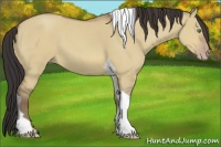 Horse Color:Sable Champagne Dun Tobiano 