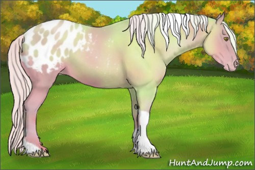 Horse Color:Watercolor Silver Sable Champagne Tobiano Blanket 