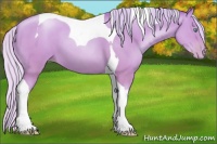 Horse Color:Watercolor Silver Sable Cream Champagne Pearl Tobiano 